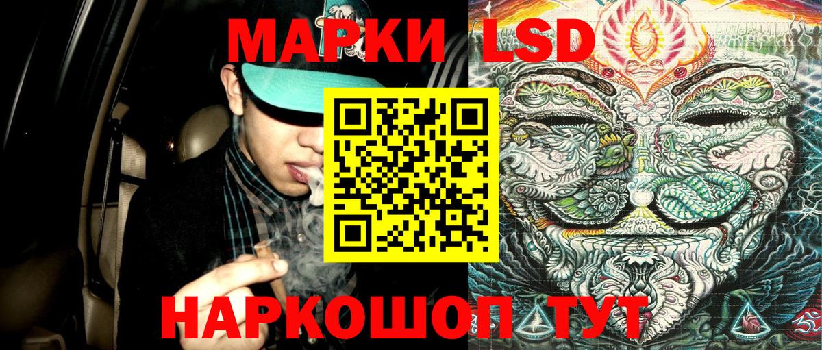 Марки N-bome 1,5мг  сколько стоит  Назрань  Вход с VPN  Марки N-bome 1,5мг 