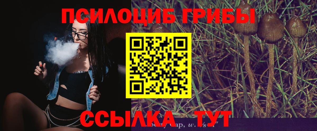 Псилоцибиновые грибы Psilocybe Назрань