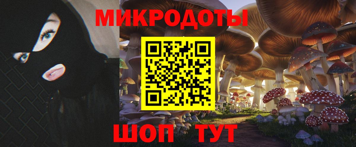 Назрань  Псилоцибиновые грибы GOLDEN TEACHER  Вход с VPN  Псилоцибиновые грибы прущие грибы 