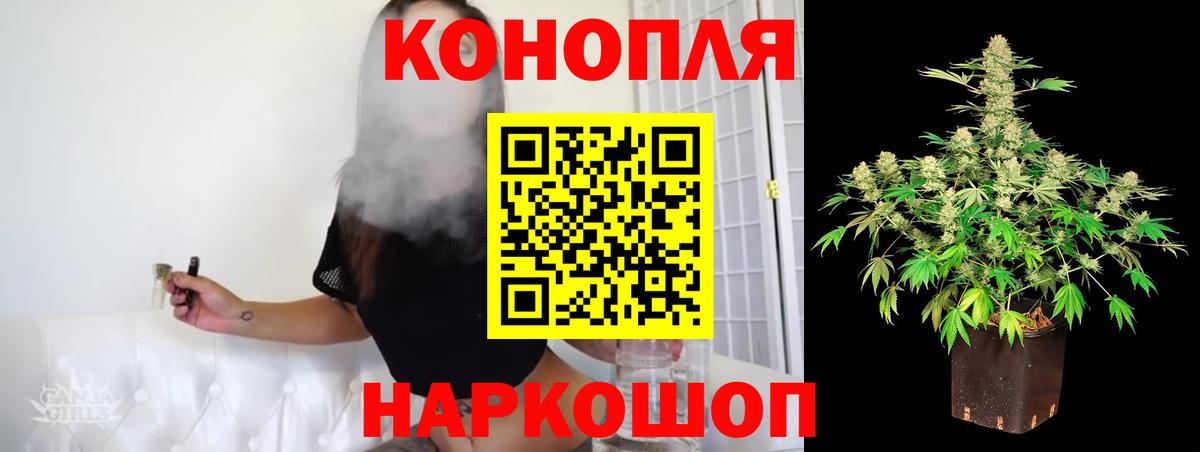 Марихуана сатива Назрань